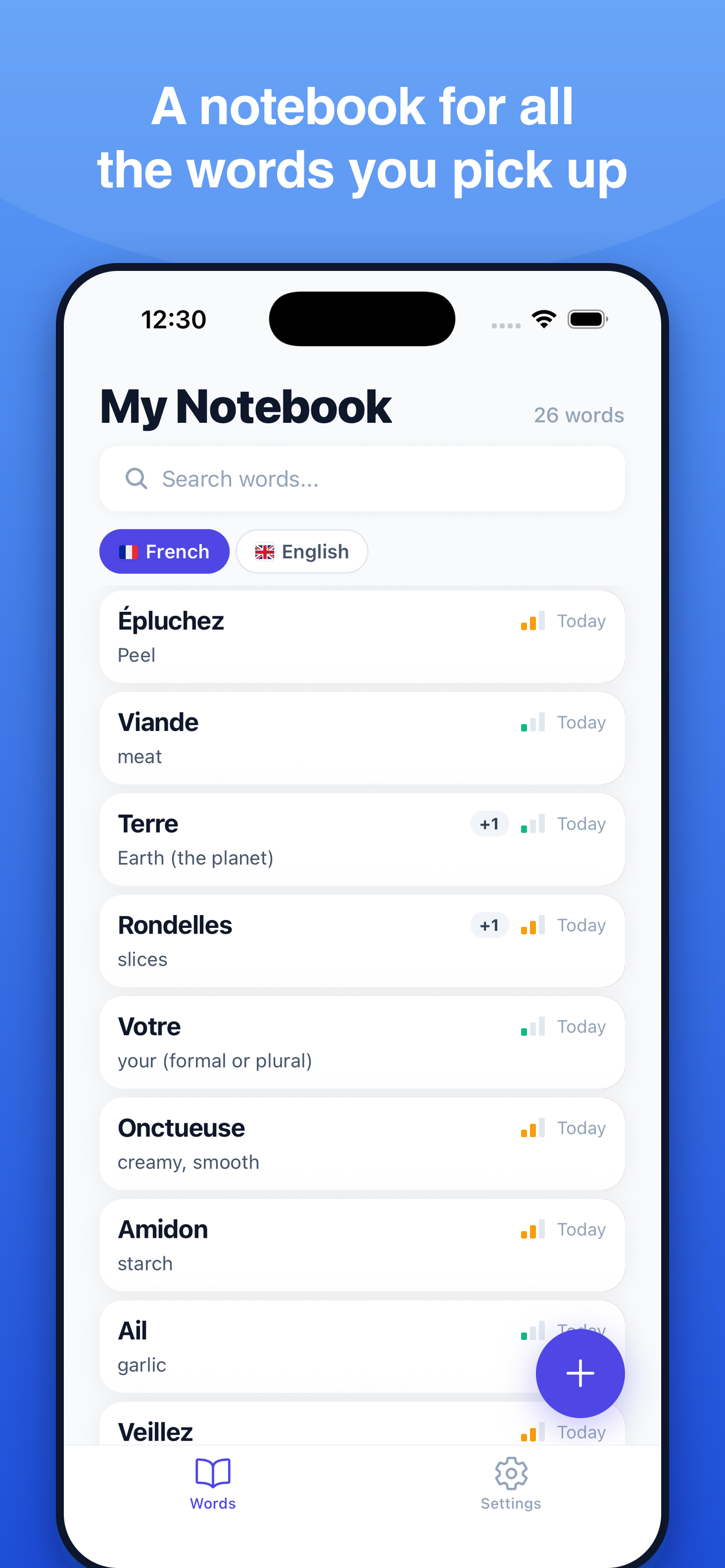 Notebook with saved words across languages